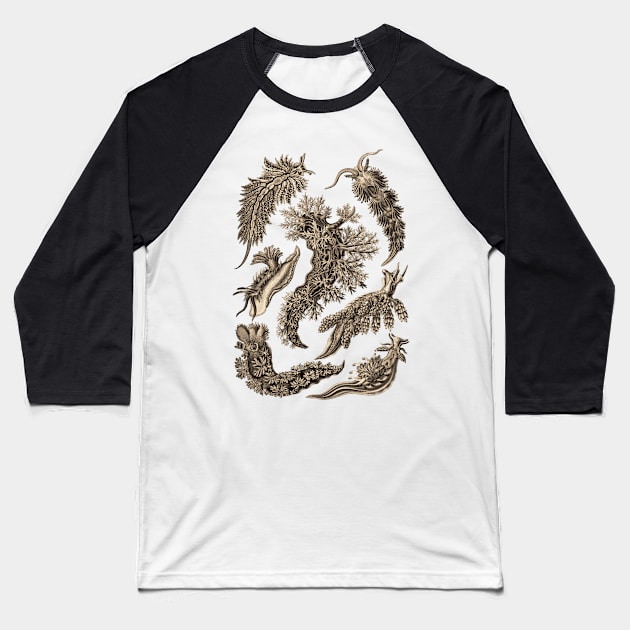 Ernst Haeckel Nudibranchia Sea Slug Wenge Baseball T-Shirt by Scientistudio